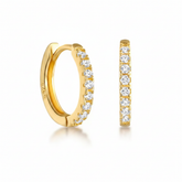 Small hoop earrings