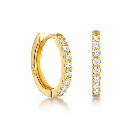Small hoop earrings